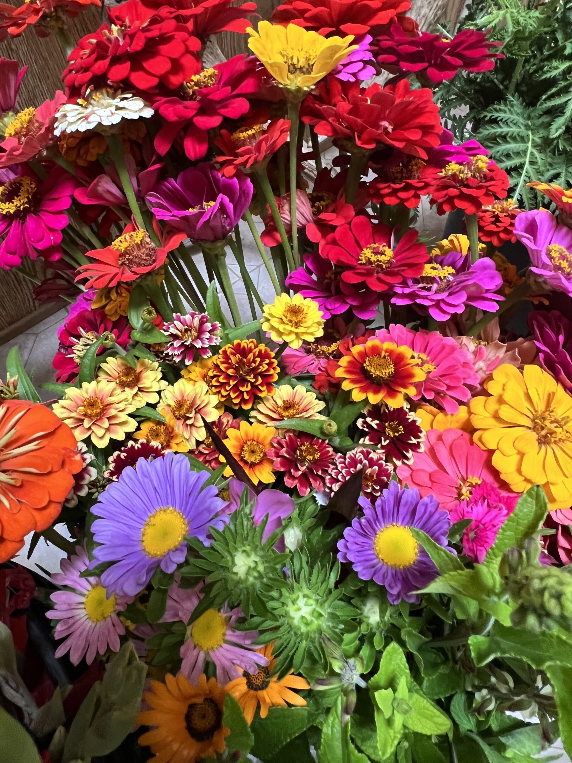 IMG_7201 Farm Flower CSA
